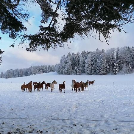 Gite Rural 1666 Saignelégier Kültér fotó