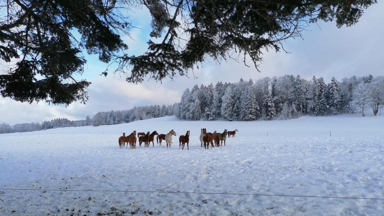 Gite Rural 1666 Saignelégier Kültér fotó